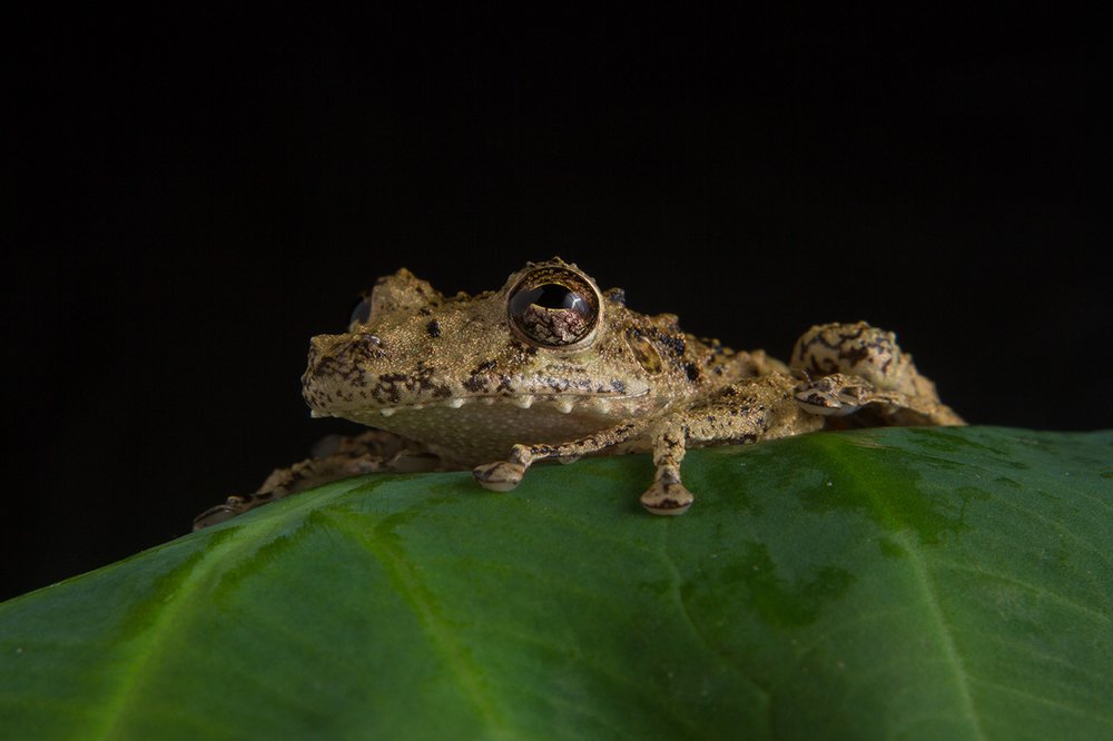 Photograph by Azaria Ruiz Villalobos