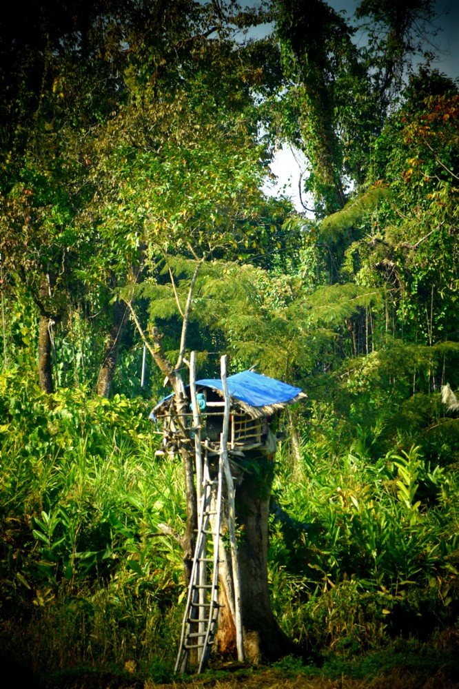 Photograph by Jemni Perme