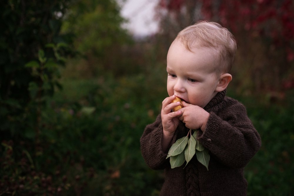 Photograph by Ольга Луллис