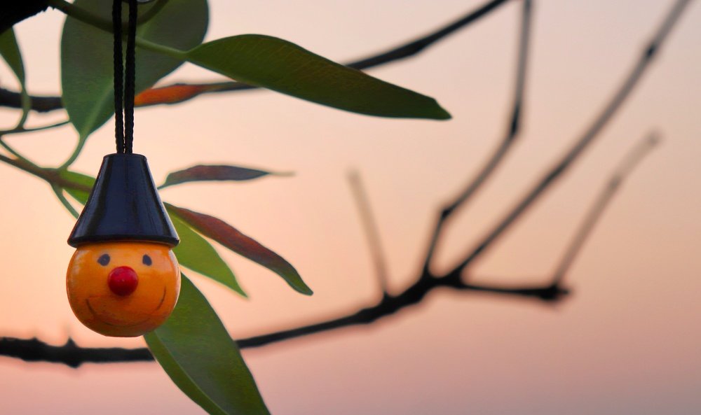 Photograph by Uma Jayadev