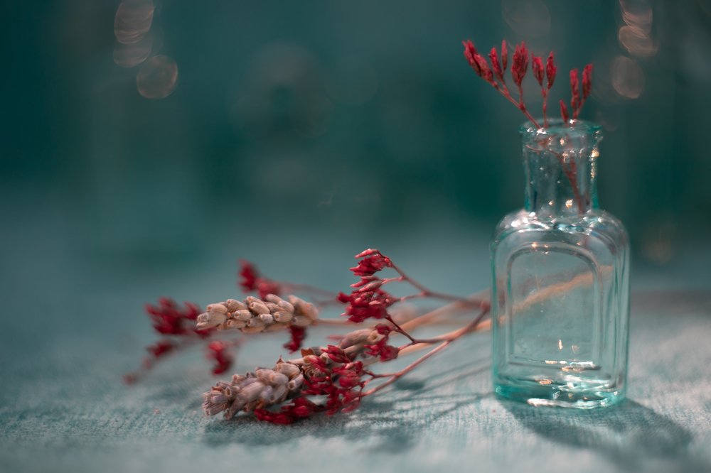 Photograph by Сергей Романченко