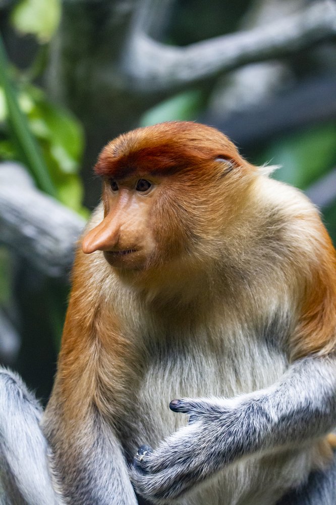 Photograph by Vinod Sundaram