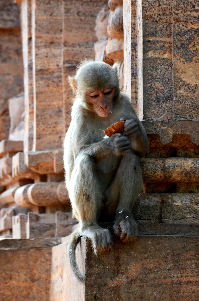 Photograph by Partha Ghosh