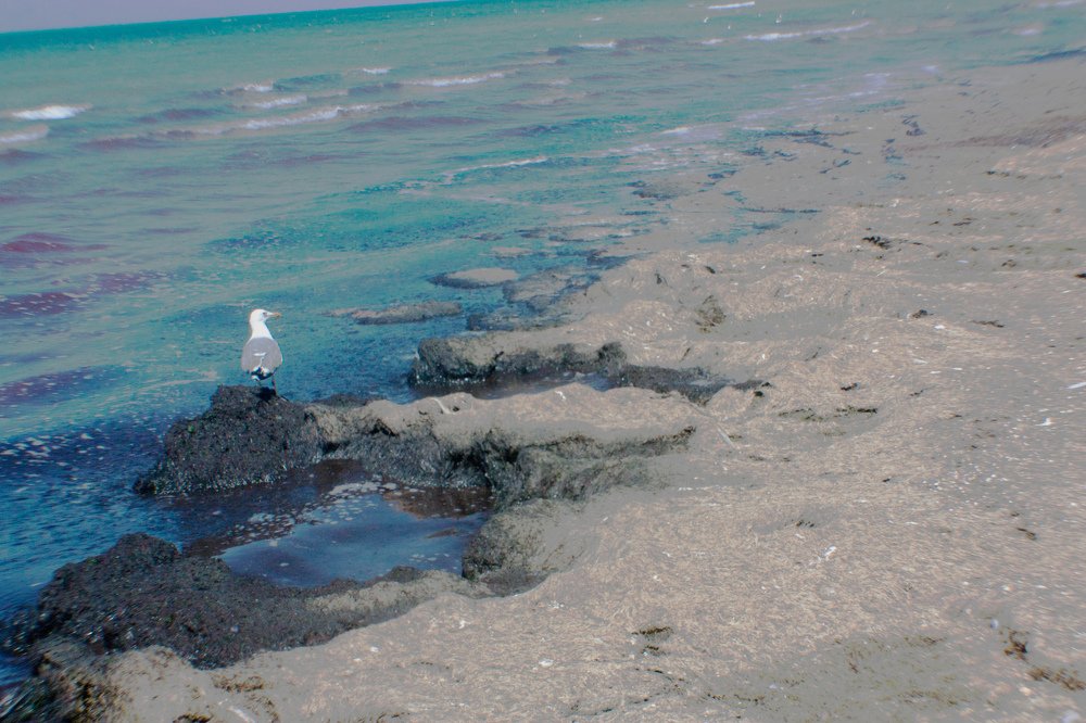 Photograph by Виталий Гончаров