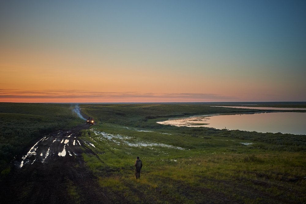 По дороге домой...