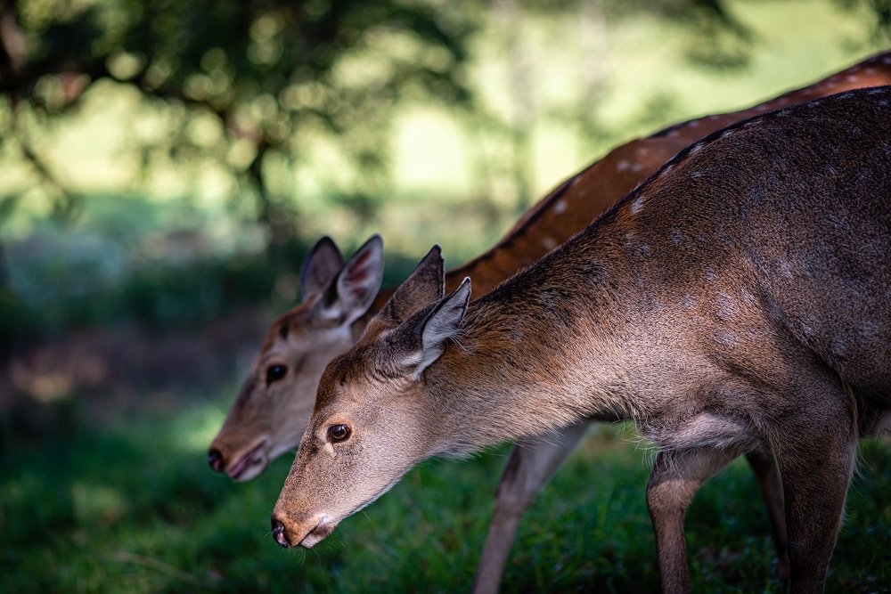Photograph by Martynas Alejunas