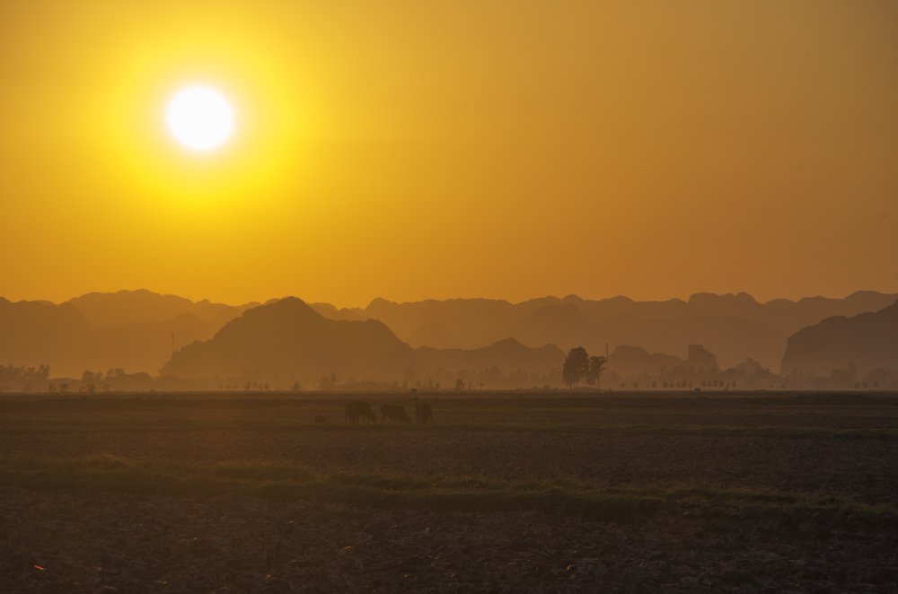 Photograph by phuong