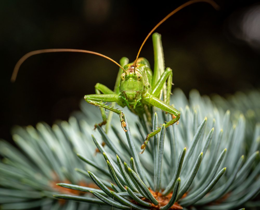 Photograph by Martynas Alejunas