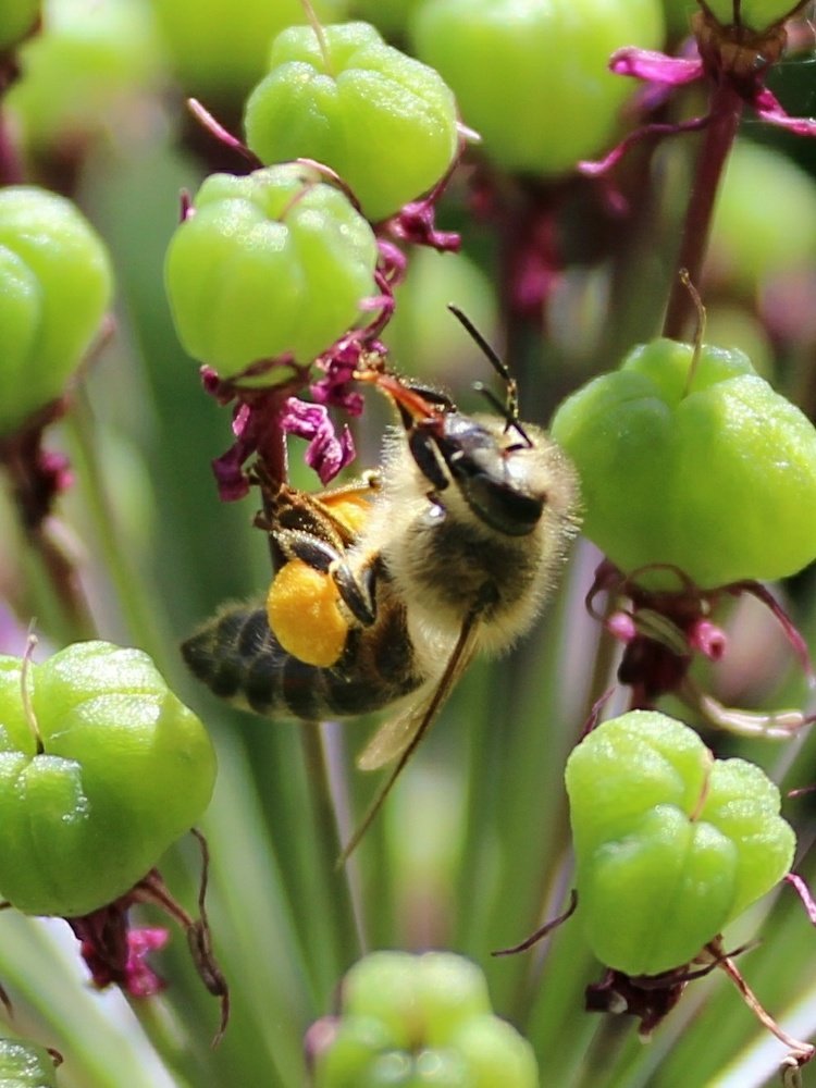 Photograph by Светлана Богомолова