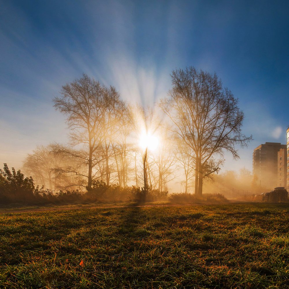 Фотография автора Панагушин Сергей