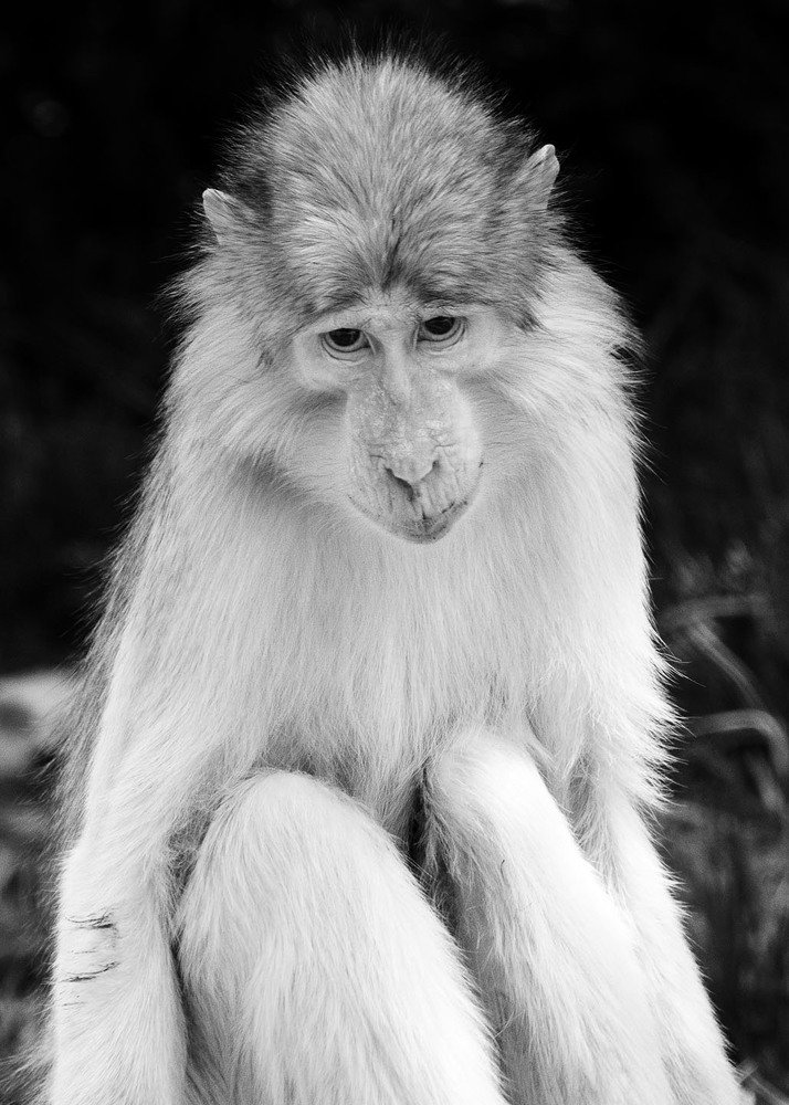 Photograph by Victor Belokrinitski