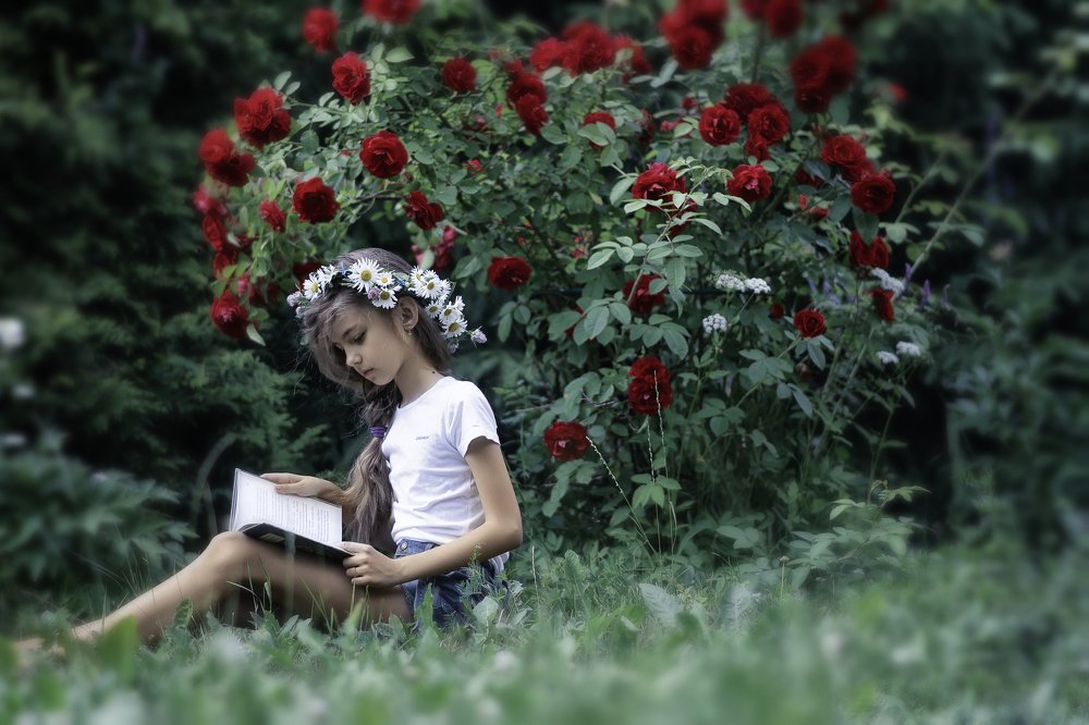 Photograph by Смолина Ирина