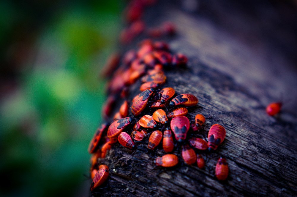 Photograph by Алёна Попова