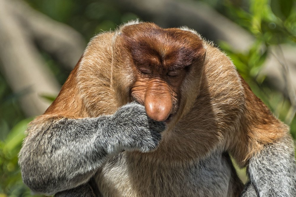 Photograph by Victor Belokrinitski