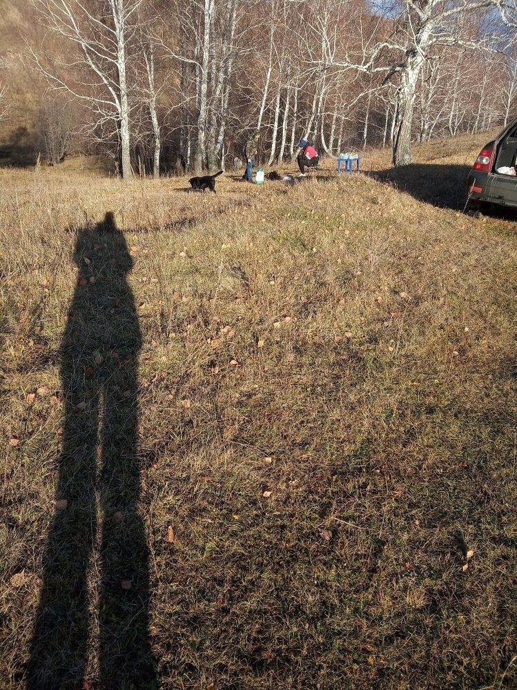 Photograph by Лариса Капустина