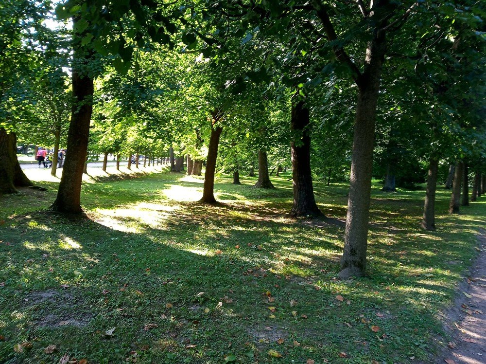 Photograph by Лариса Капустина