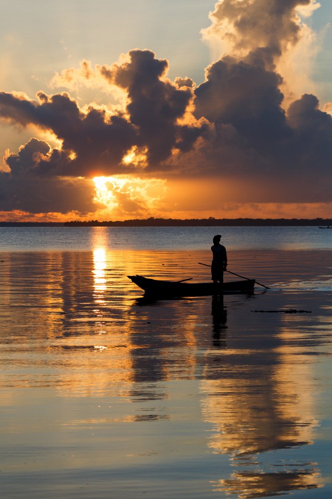 Fisherman swinging in golden waters