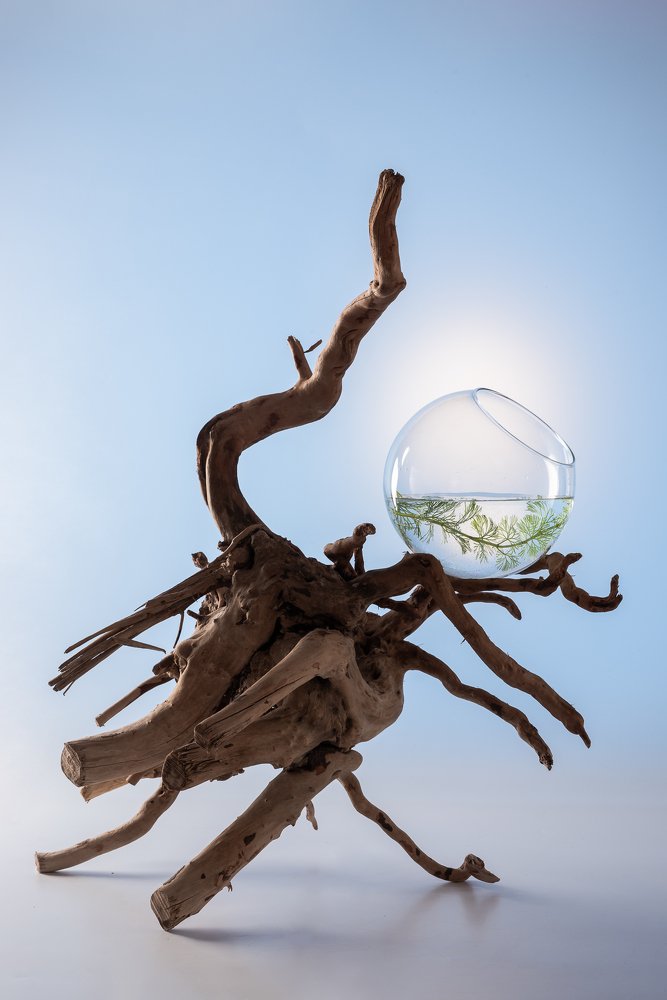 Photograph by Константин Шевель