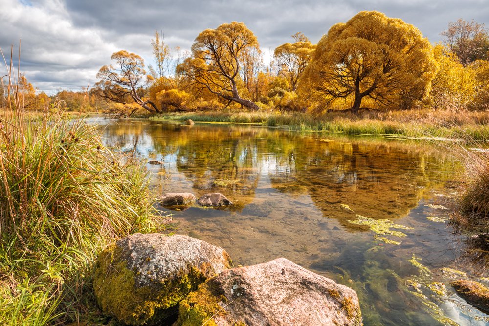 Photograph by Бабкина Юлия