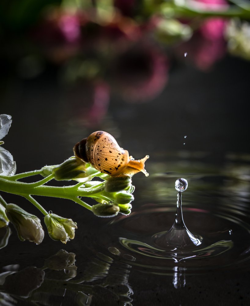 Photograph by Наталья Оконешникова