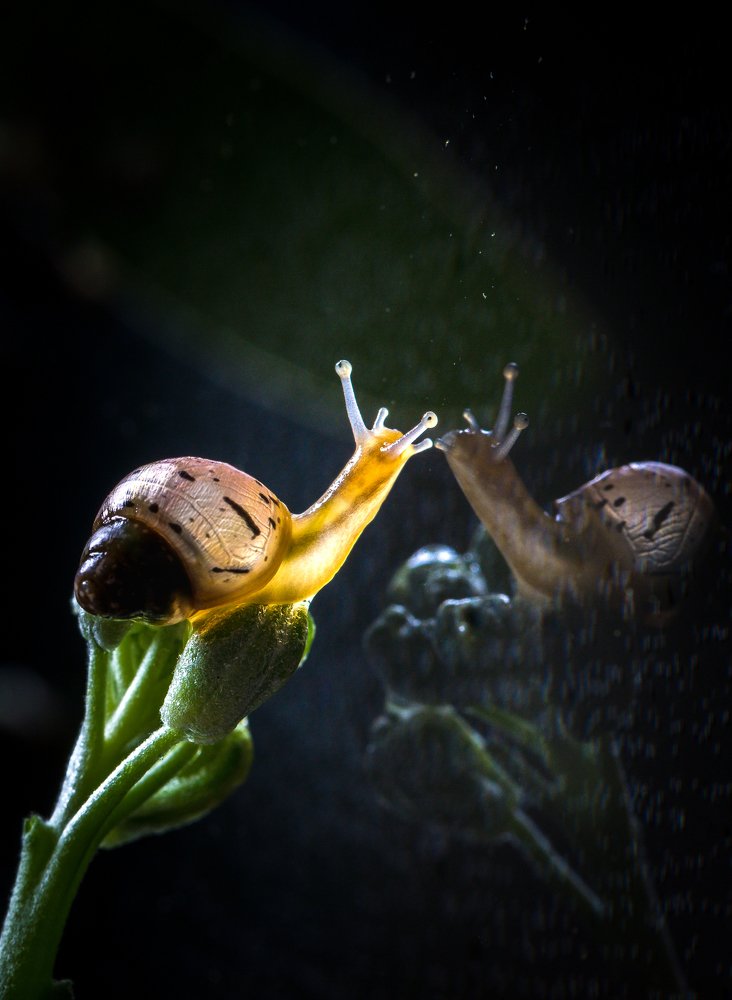 Photograph by Наталья Оконешникова