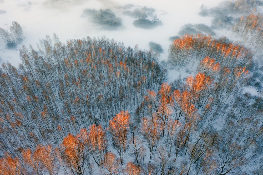 Морозистый туман