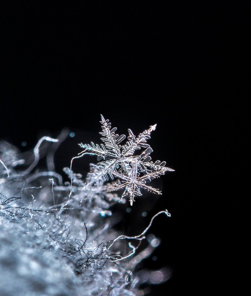 Photograph by Наталья Оконешникова