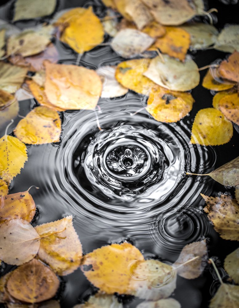 Капли воды в бочке