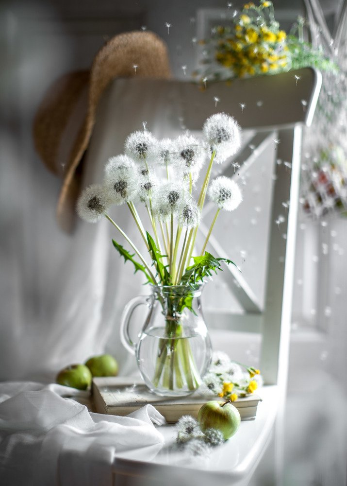 Одуванчики