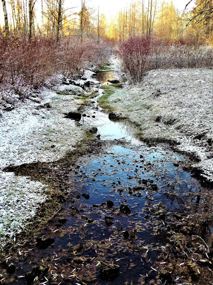 Photograph by Vydmantas