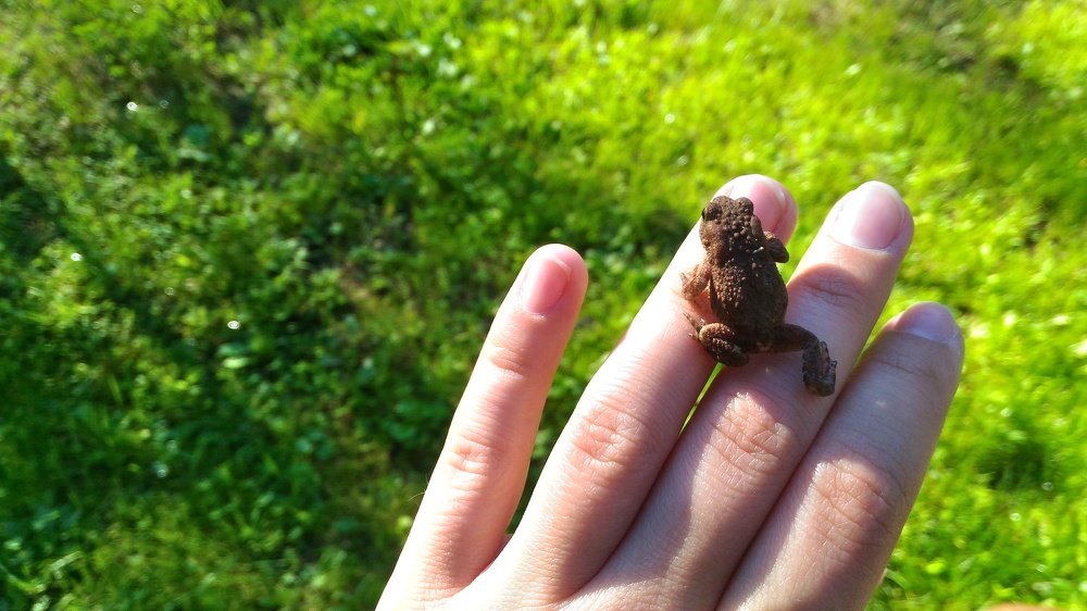 Photograph by Daria Kaloshina