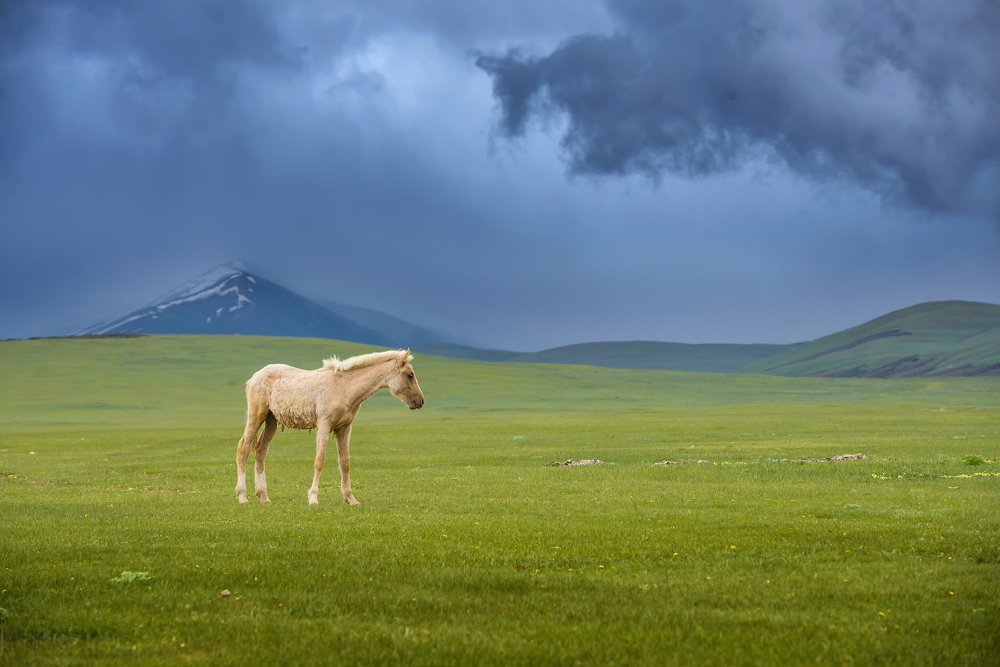 Photograph by Кутыгин Эдуард