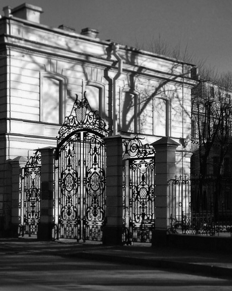 Photograph by Ирина Тимонина