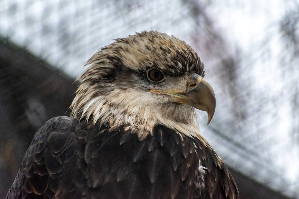 Photograph by Юлия Боровкова