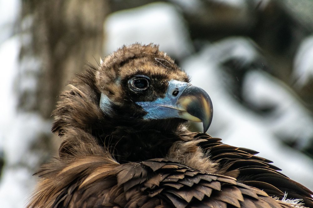 Photograph by Юлия Боровкова