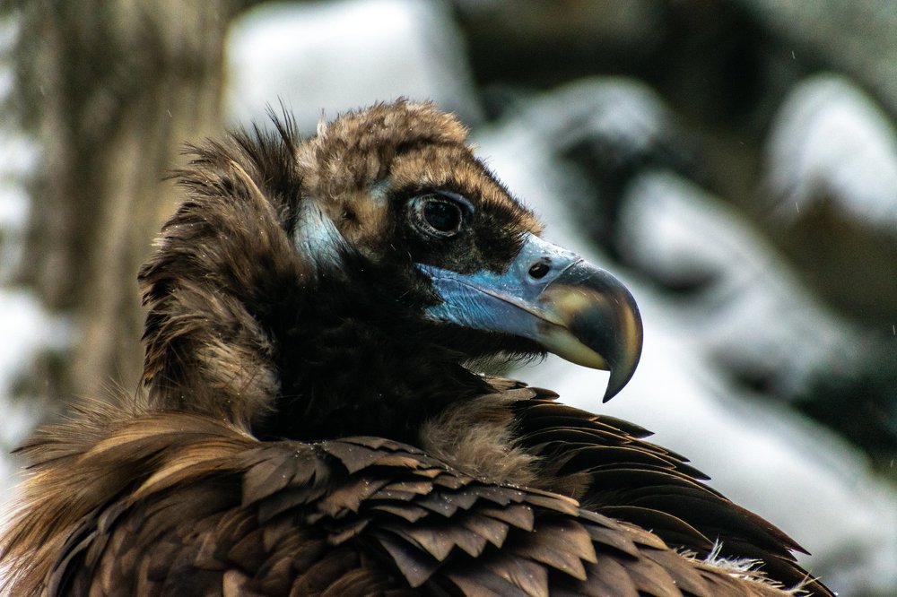 Photograph by Юлия Боровкова