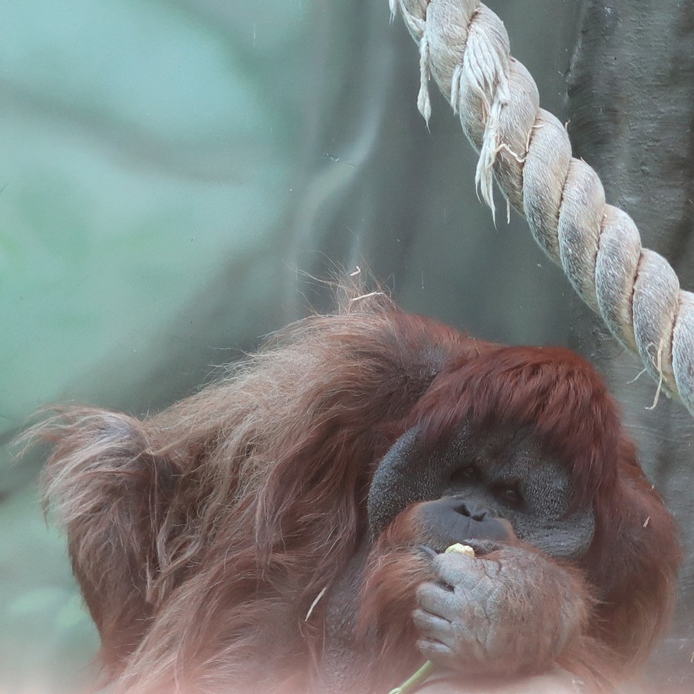 Photograph by Сергей Лобозов