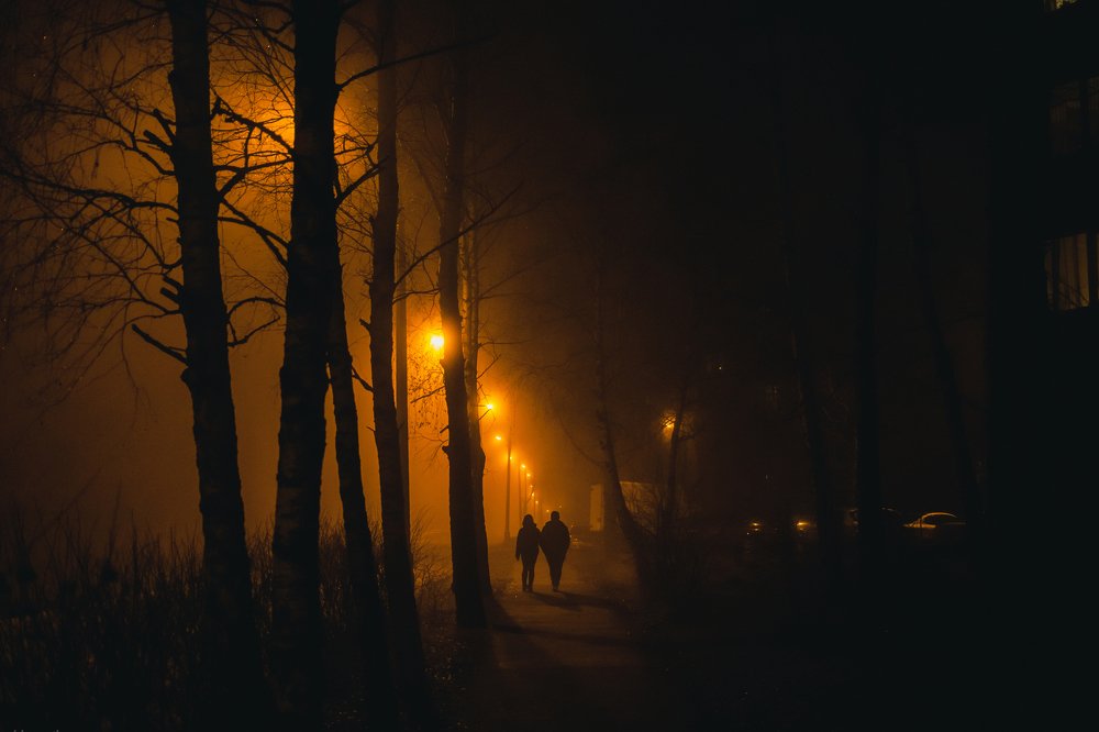 Вечерний туман