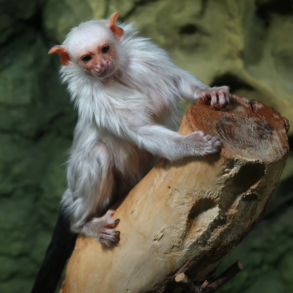 Photograph by Сергей Лобозов