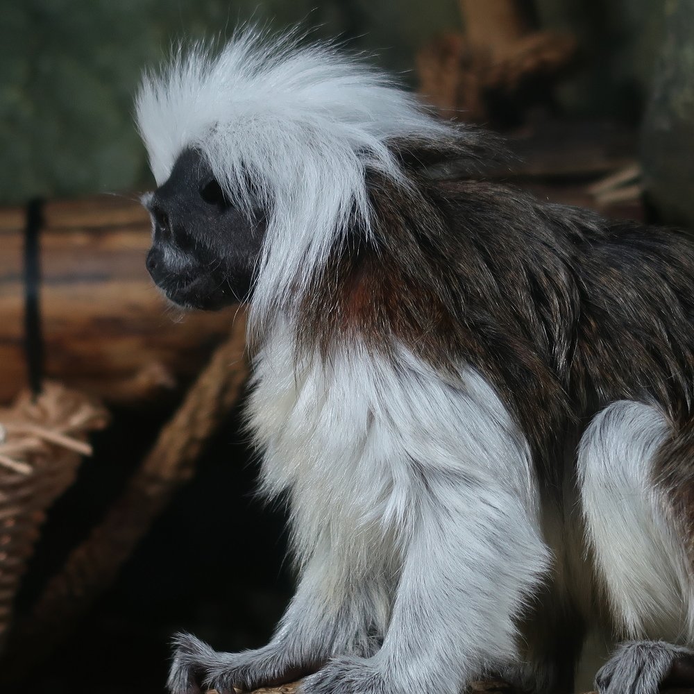 Photograph by Сергей Лобозов