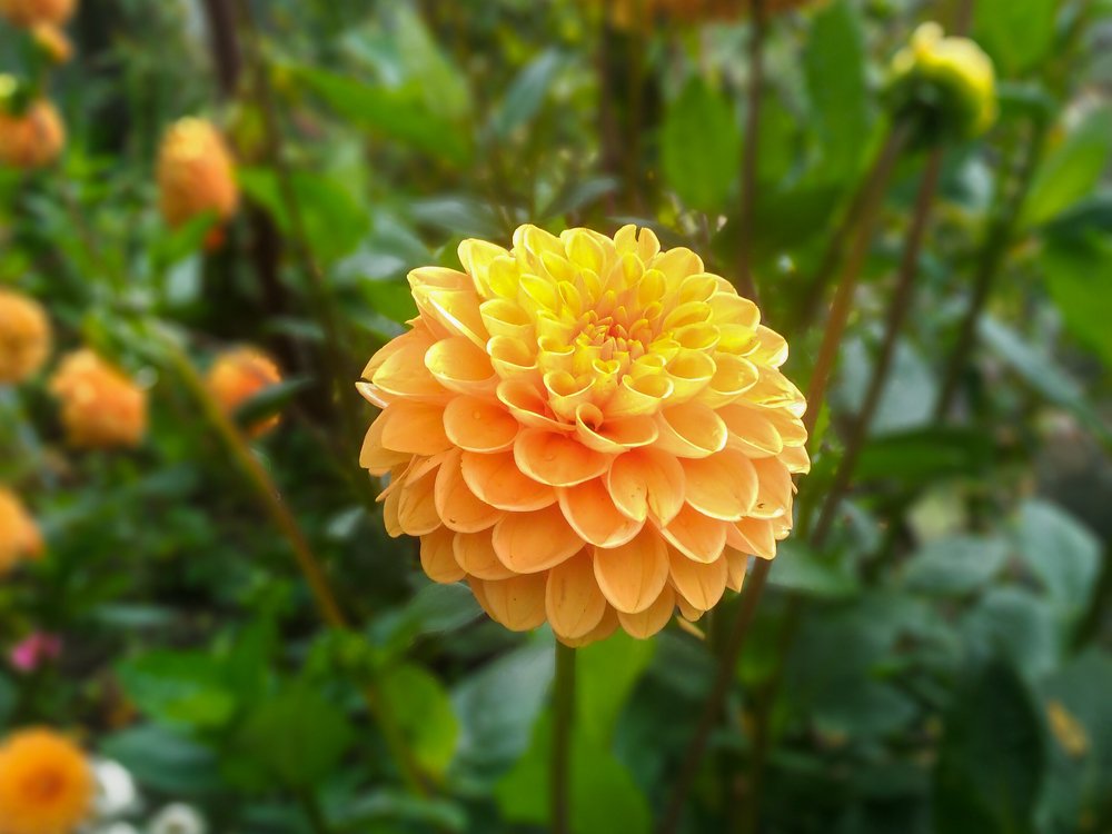 Photograph by Александр Козлов