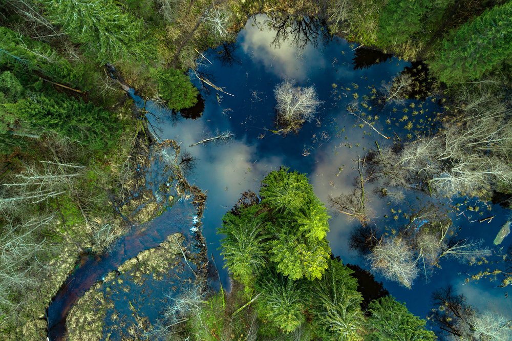 Photograph by Gatis Vilbrants