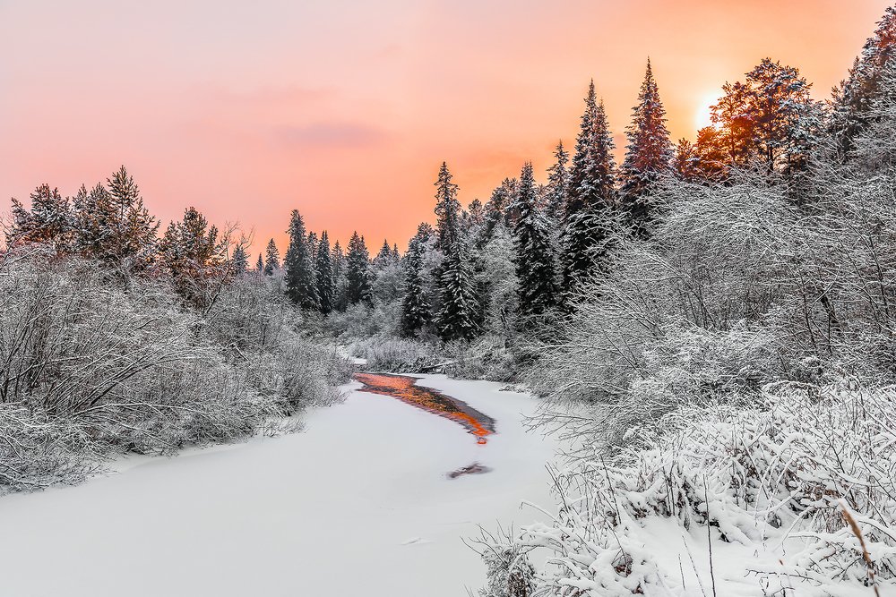 Photograph by Добрыднев Сергей