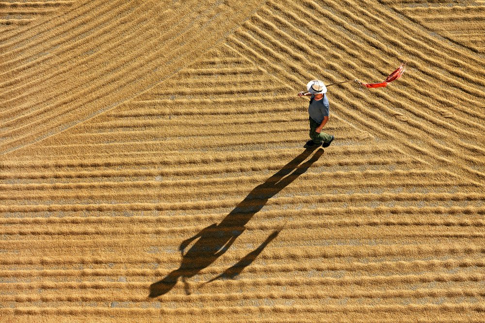 Фотография автора Fikriye Er