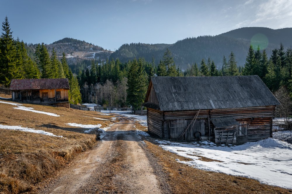 Photograph by Cosma Laura