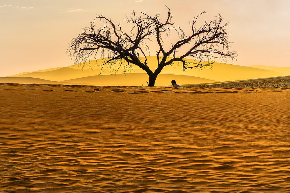 Фотография автора Fikriye Er