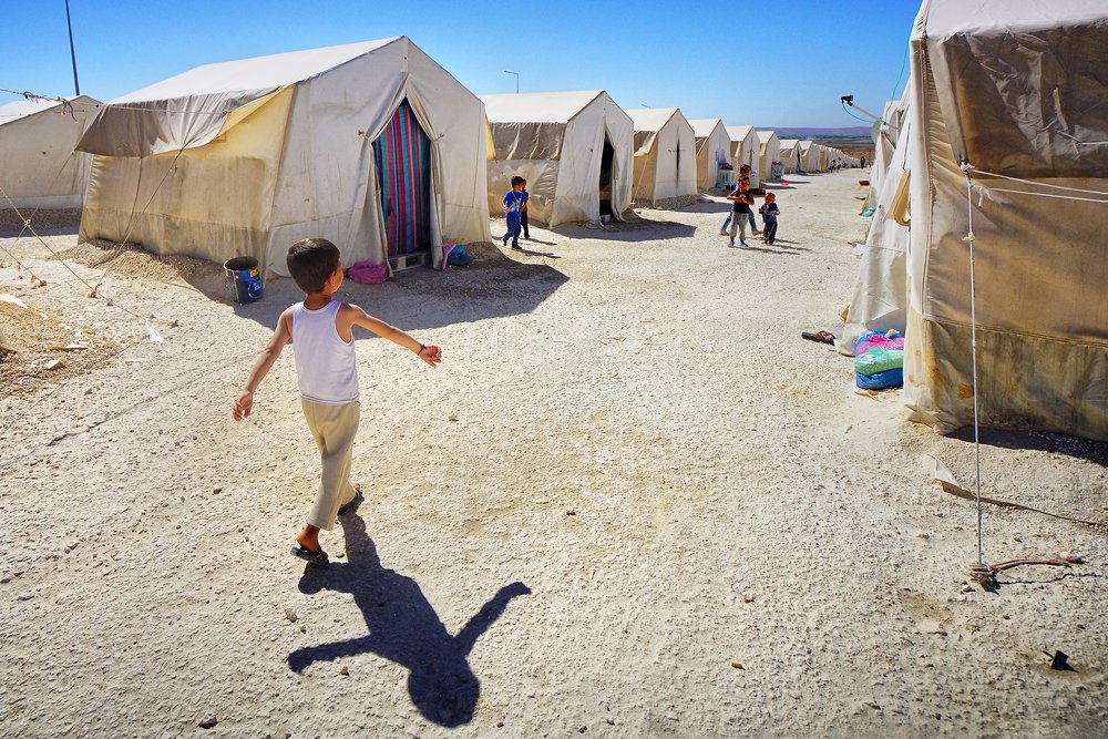 Фотография автора Fikriye Er