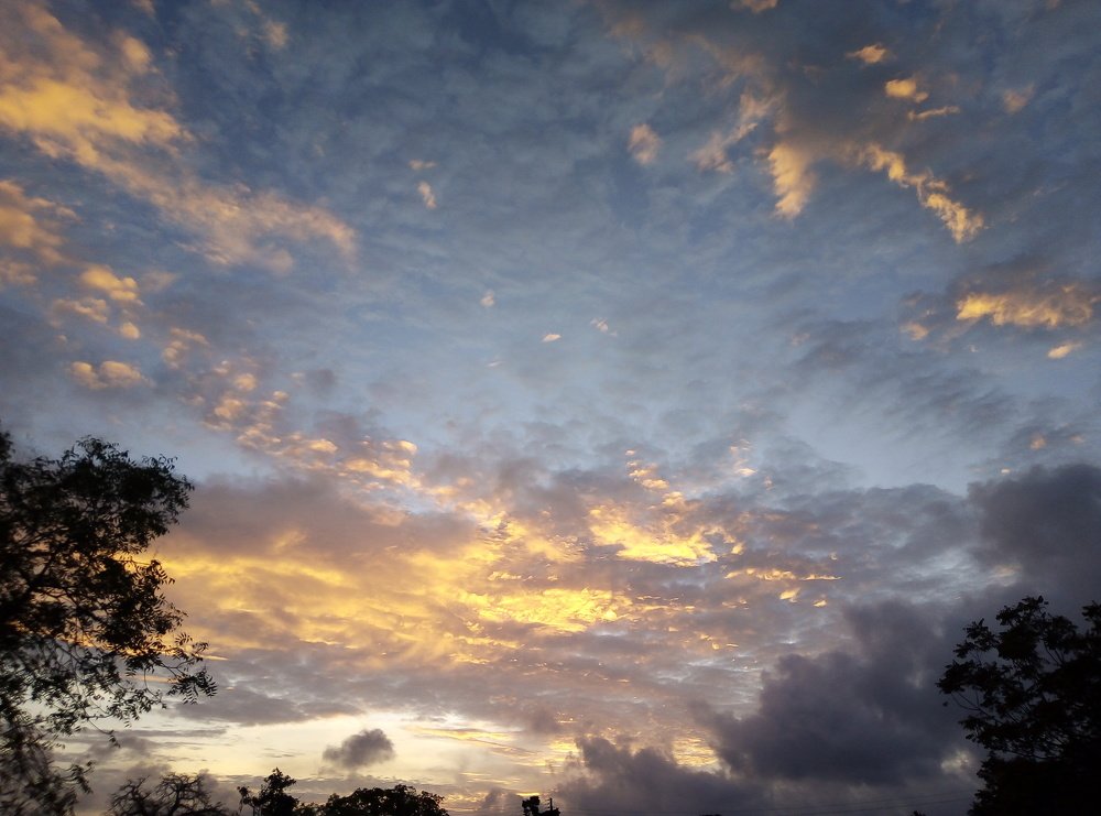 Photo #4206716