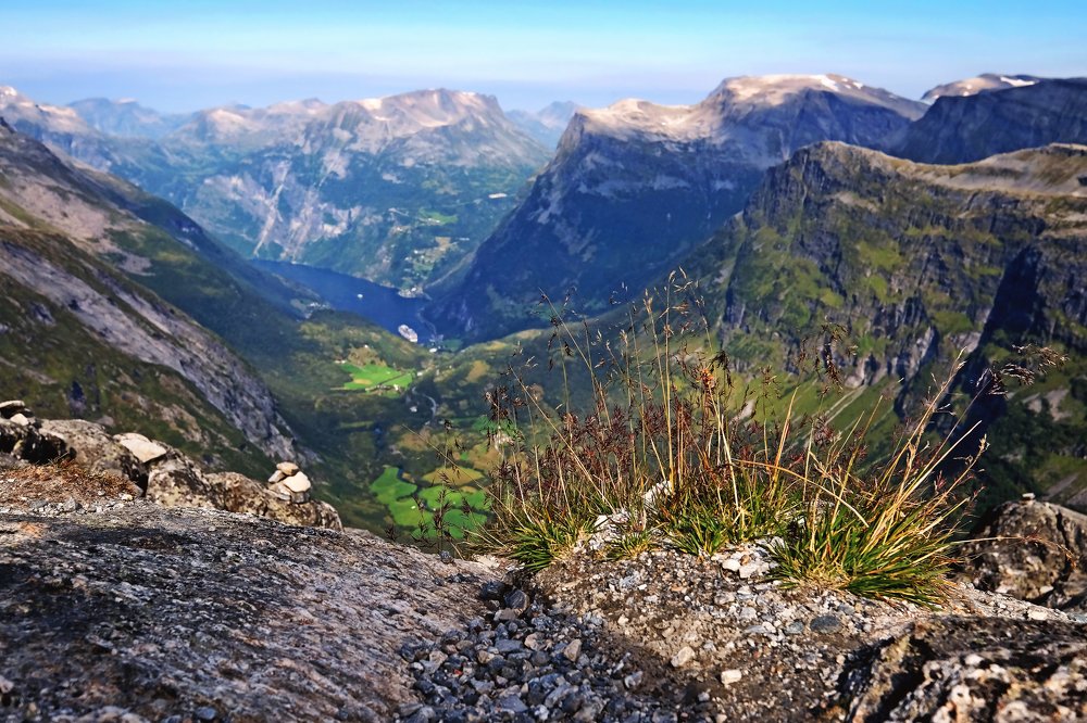 Photograph by Алексей Пышненко