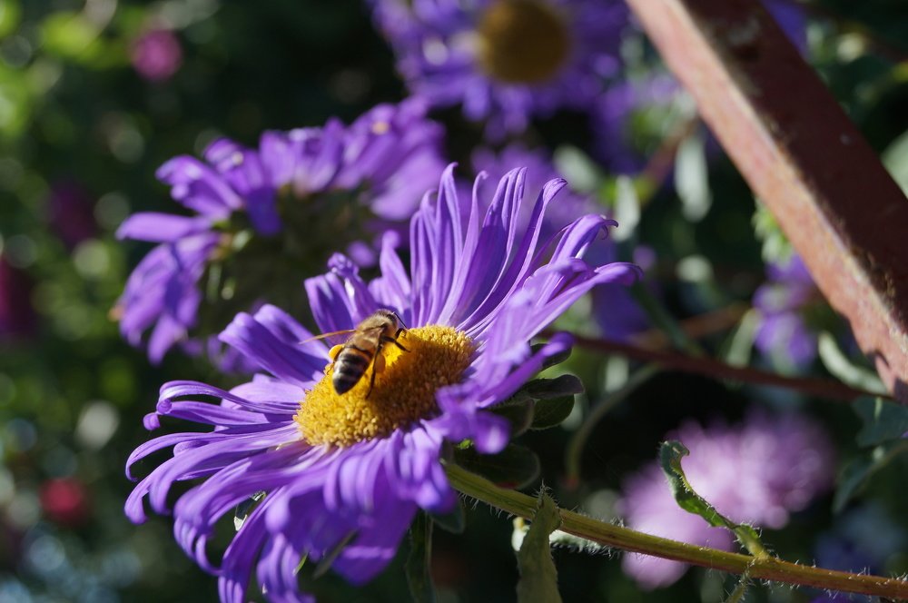 Photograph by Юлия Панкратова
